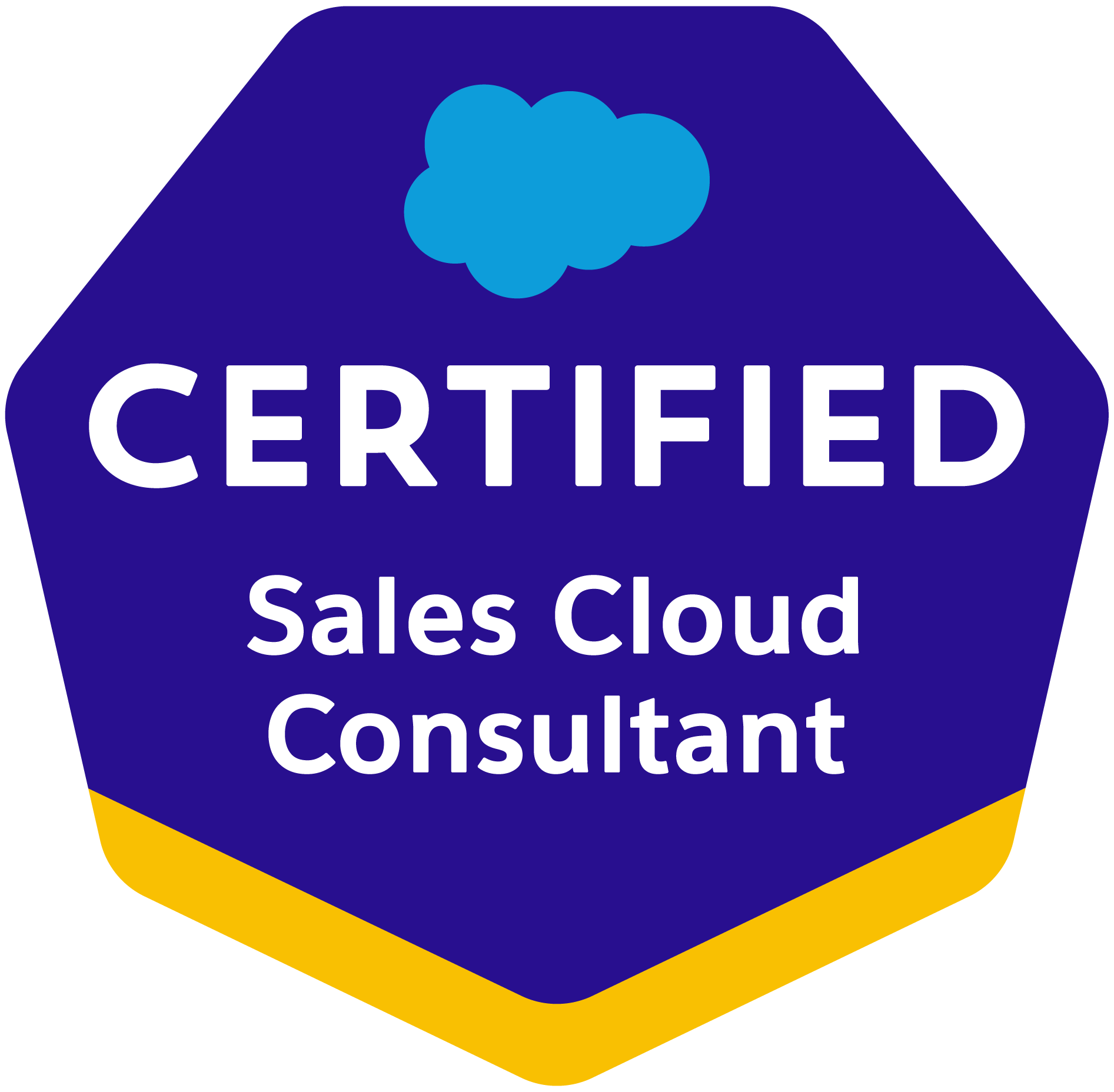 Sales Cloud Consultant